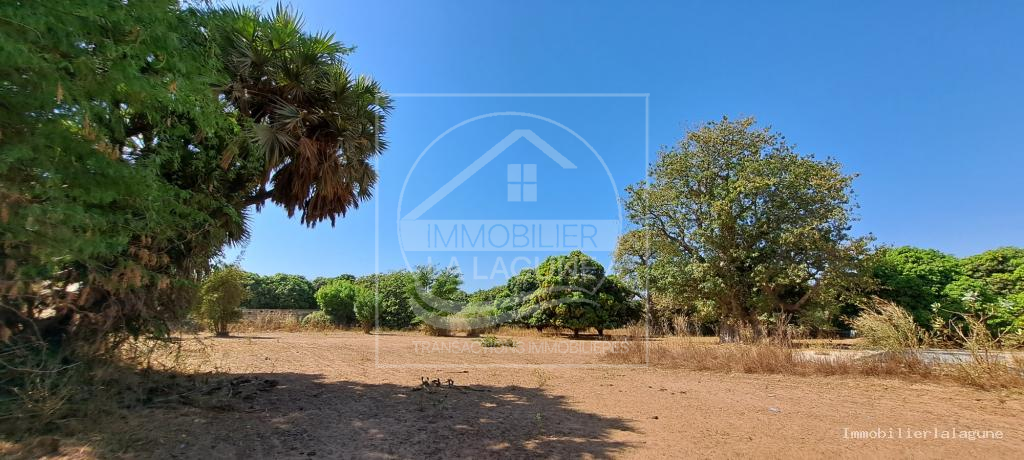 Agence Immobilière Saly Sénégal - T3103 - Terrain à NGUEKHOKH - T3103-terrain-a-vendre-a-nguekokh-senegal