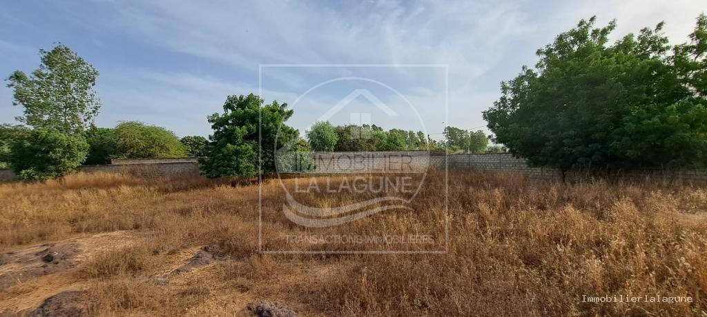 Agence Immobilière Saly Sénégal - T3109 - Terrain à NGUERIGNE - T3109-terrain-a-vendre-a-nguerigne-senegal