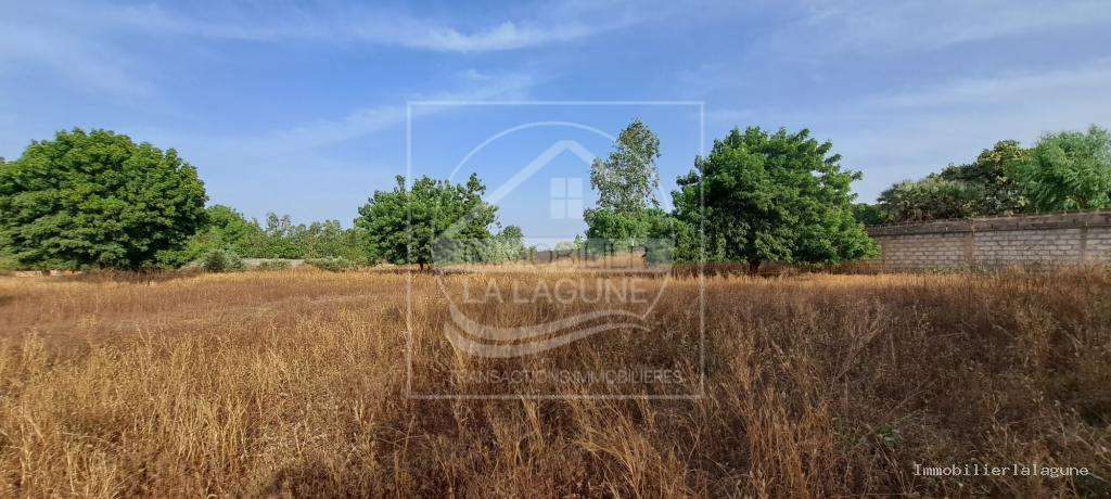 Agence Immobilière Saly Sénégal - T3109 - Terrain à NGUERIGNE - T3109-terrain-a-vendre-a-nguerigne-senegal