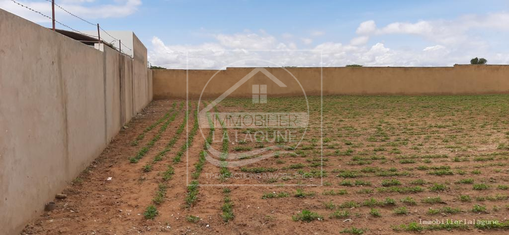 Agence Immobilière Saly Sénégal - T3131 - Terrain à NGAPAROU - T3131-terrain-a-vendre-a-ngaparou-senegal