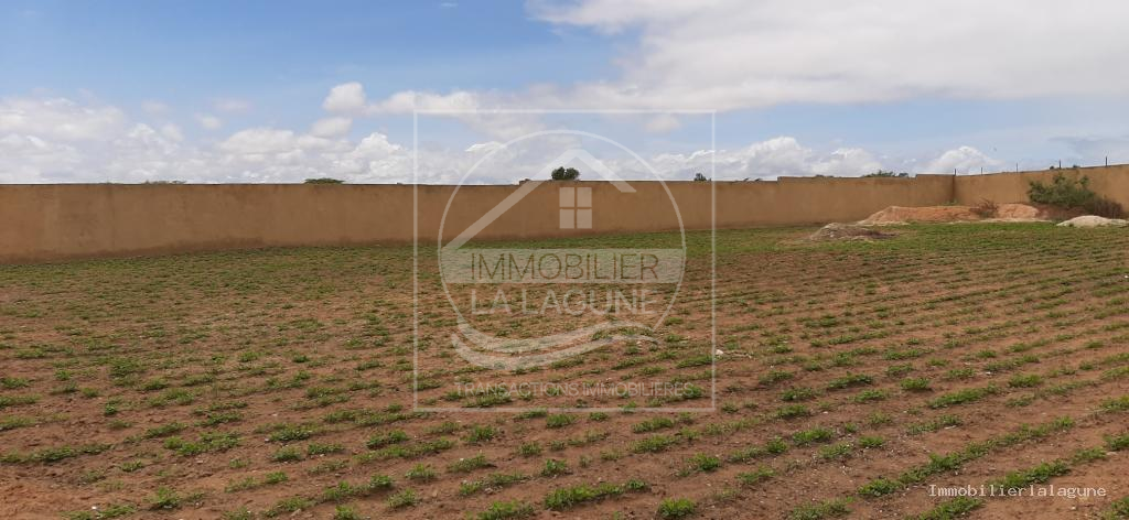 Agence Immobilière Saly Sénégal - T3131 - Terrain à NGAPAROU - T3131-terrain-a-vendre-a-ngaparou-senegal