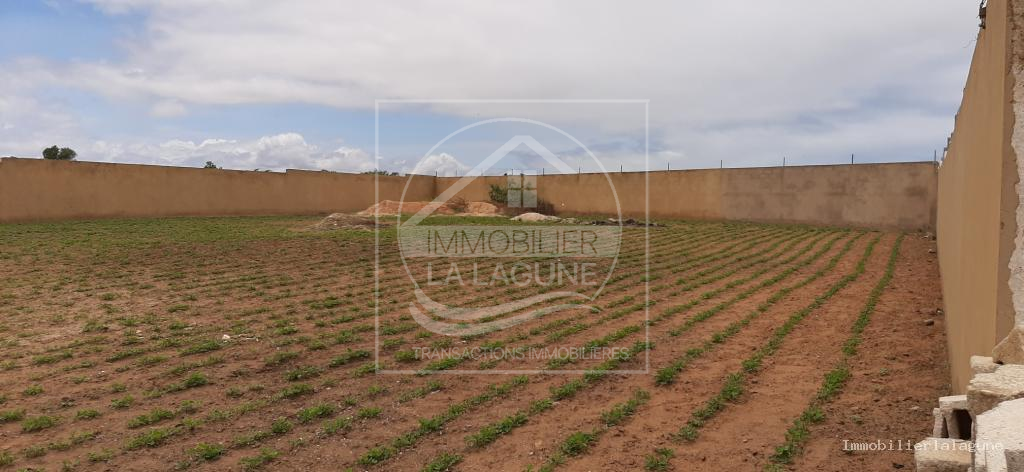 Agence Immobilière Saly Sénégal - T3131 - Terrain à NGAPAROU - T3131-terrain-a-vendre-a-ngaparou-senegal