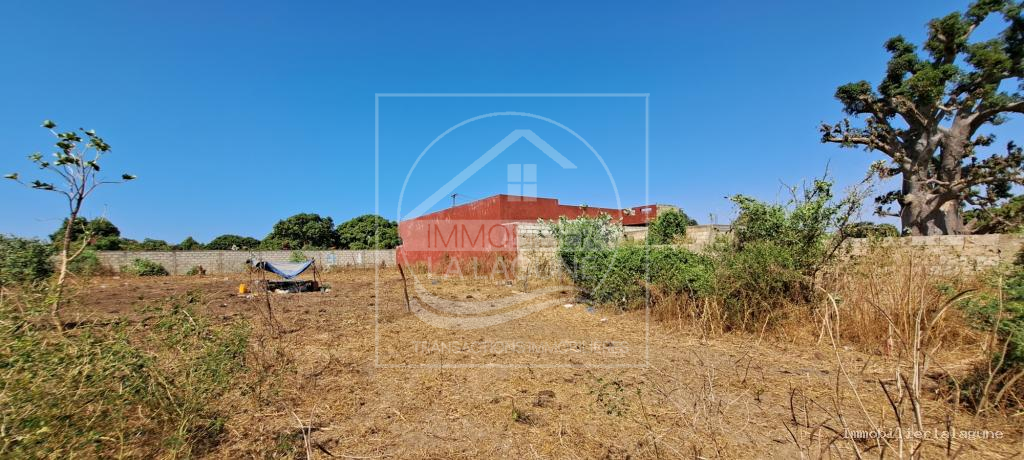 Agence Immobilière Saly Sénégal - T3132 - Terrain à WARANG - T3132 Terrain a vendre warang senegal