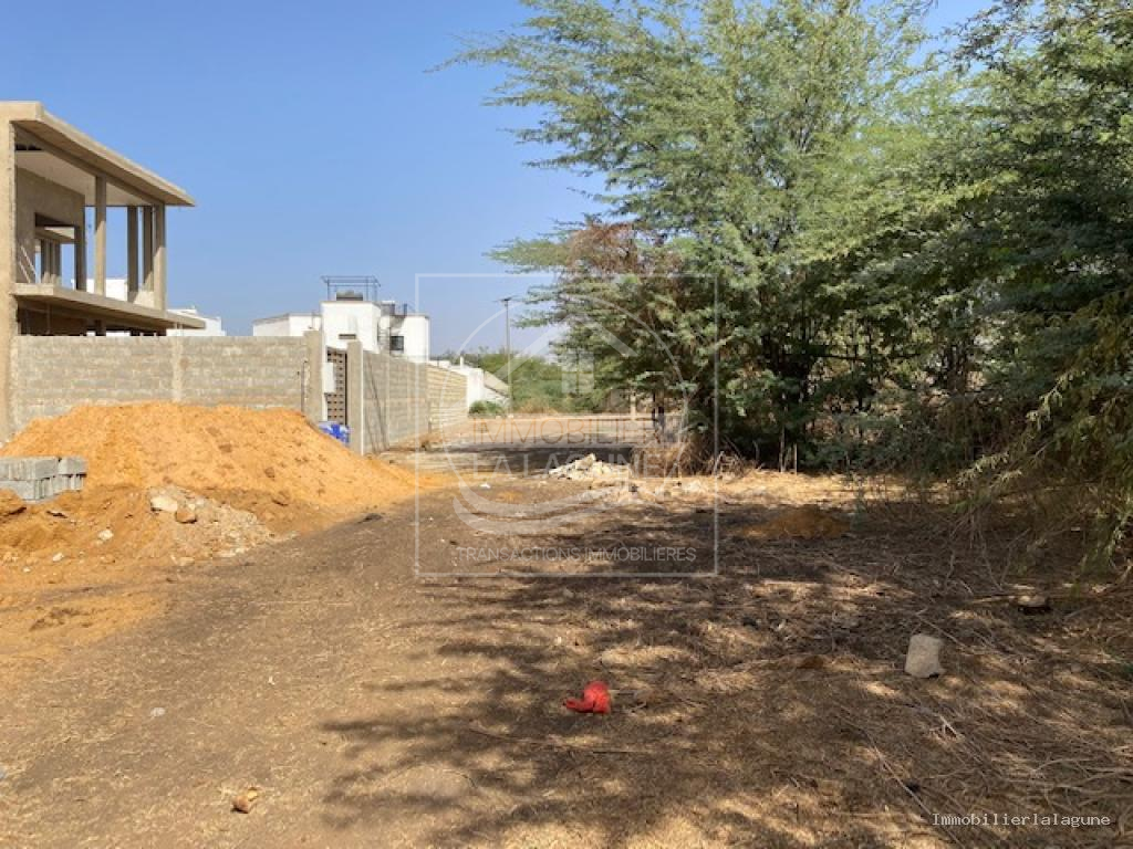 Agence Immobilière Saly Sénégal - T3127 - Terrain à SOMONE - T3127 terrain a vendre somone senegal