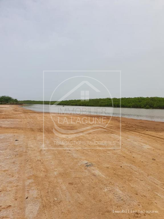 Agence Immobilière Saly Sénégal - T3110 - Terrain à SOMONE - 