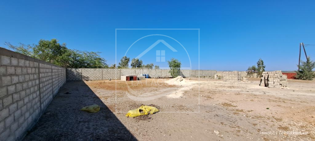 Agence Immobilière Saly Sénégal - T3153 - Terrain à NDANGANE - T3153-terrain-a-vendre-a-ndangane-senegal