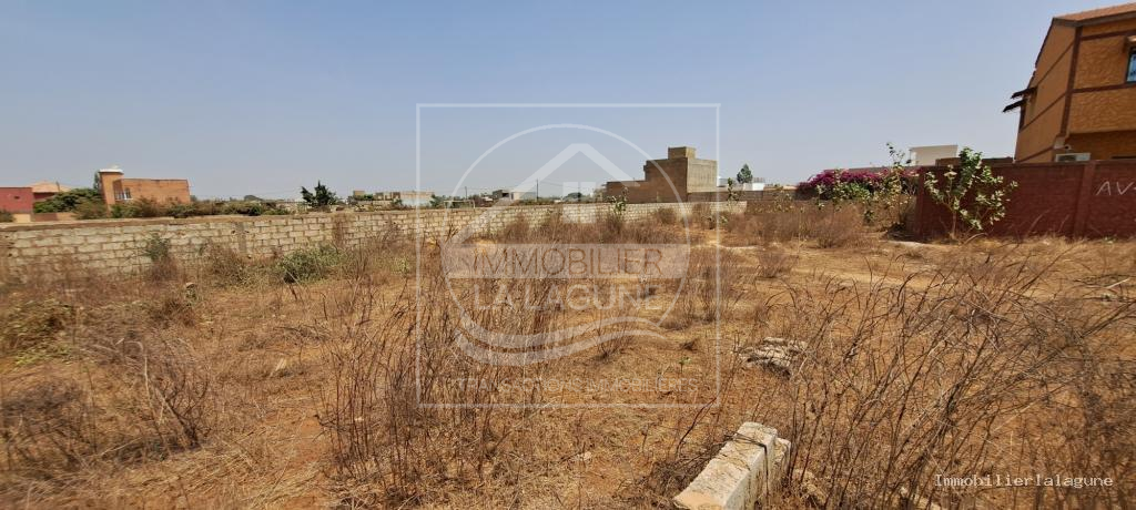 Agence Immobilière Saly Sénégal - T3157 - Terrain à NGAPAROU - T3157-terrai-a-vendre-a-ngaparou-senegal