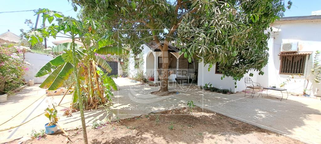 Agence Immobilière Saly Sénégal - V3168 - Villa à WARANG - V3168-villa-a-vendre-a-warang-senegal