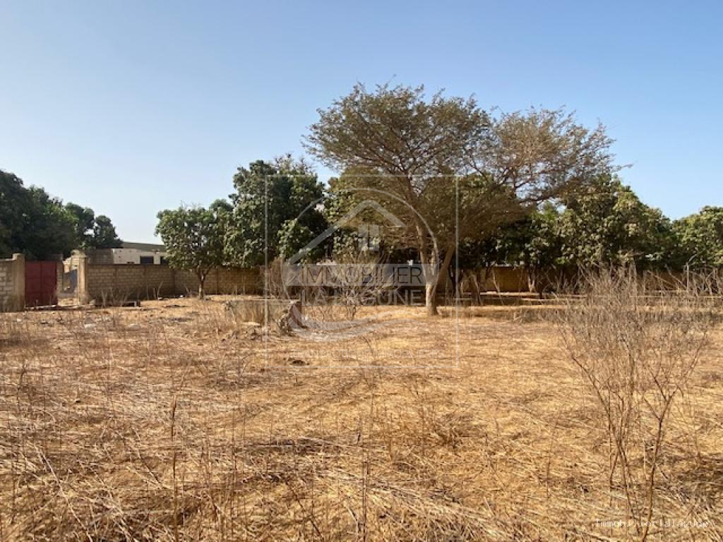 Agence Immobilière Saly Sénégal - T3195 - Terrain à NGAPAROU - T3195 terrain a vendre nguerigne senegal