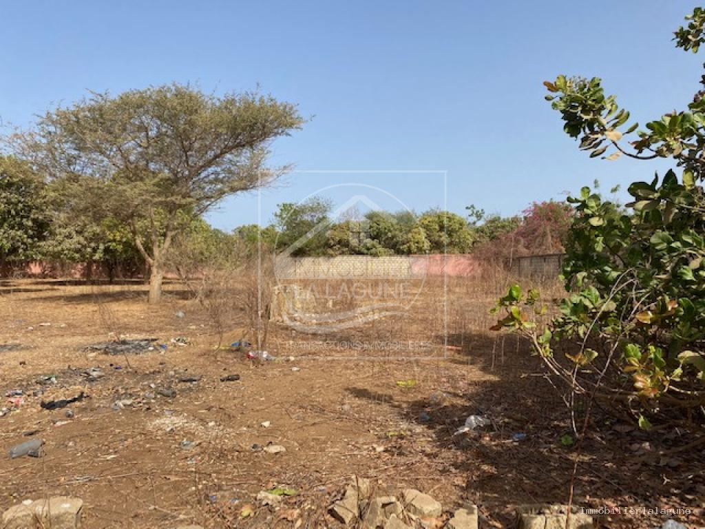 Agence Immobilière Saly Sénégal - T3195 - Terrain à NGAPAROU - errain a vendre nguerigne senegal