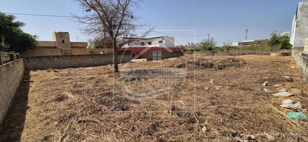 Agence Immobilière Saly Sénégal - T3218 - Terrain à NGAPAROU - T3218-terrain-a-vendre-a-ngaparou-senegal