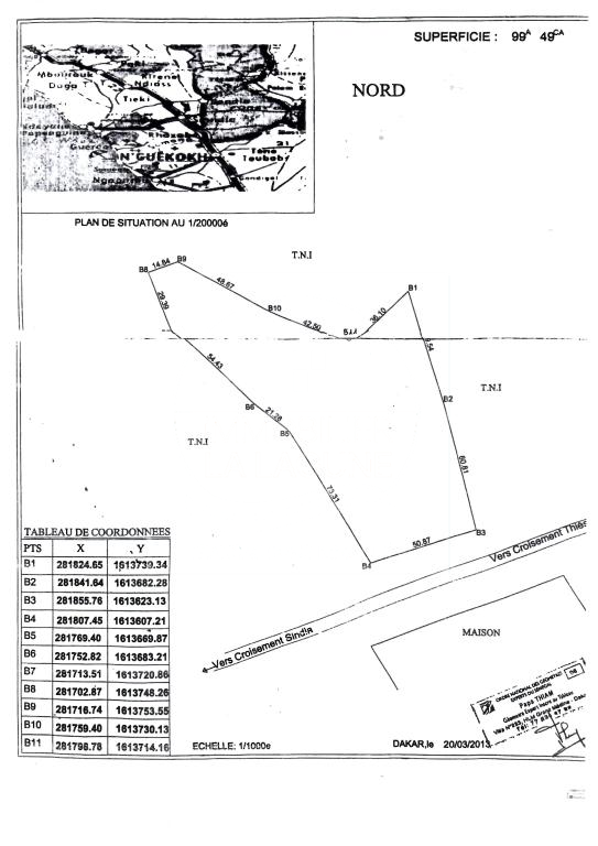 Agence Immobilière Saly Sénégal - T3224 - Terrain à SINDIA - T3224-terrain-a-vendre-a-sindia-senegal