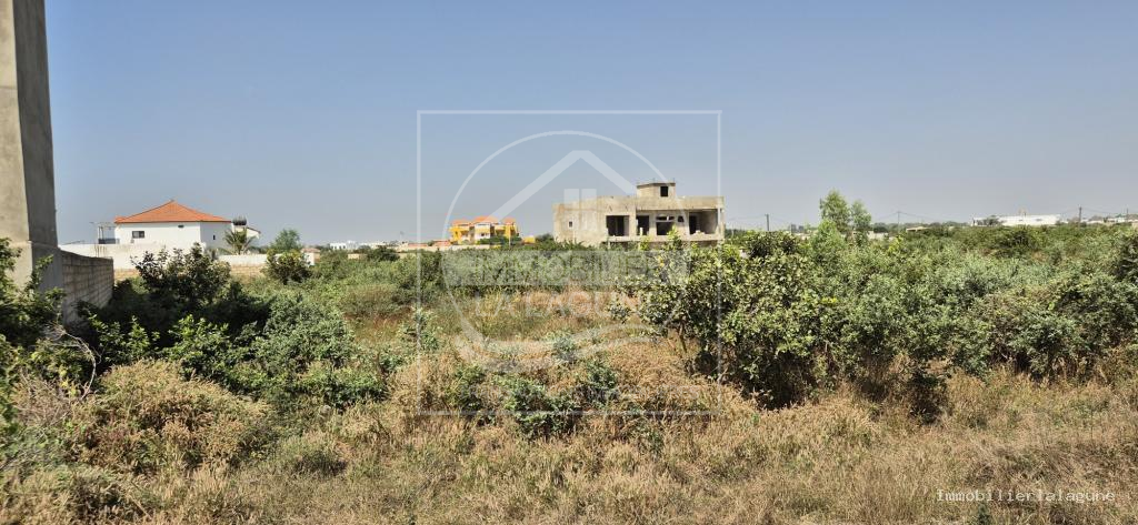 Agence Immobilière Saly Sénégal - T3227 - Terrain à N'DIOROKH - T3227-terrain-a-vendre-a-ndiorokh-senegal