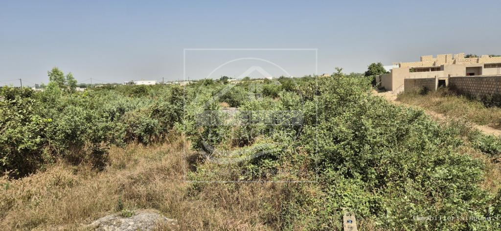 Agence Immobilière Saly Sénégal - T3227 - Terrain à N'DIOROKH - T3227-terrain-a-vendre-a-ndiorokh-senegal