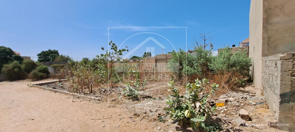 Agence Immobilière Saly Sénégal - T3240 - Terrain à SALY - T3240-terrain-a-vendre-a-somone-senegal