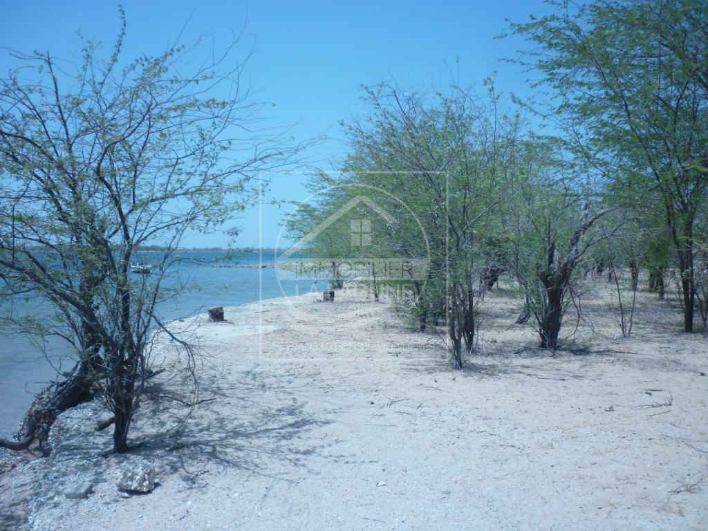 Agence Immobilière Saly Sénégal - T1946 - Terrain à FOUNDIOUGNE - t1946 beau terrain en bordure de mer à vendre à fondiougne senegal