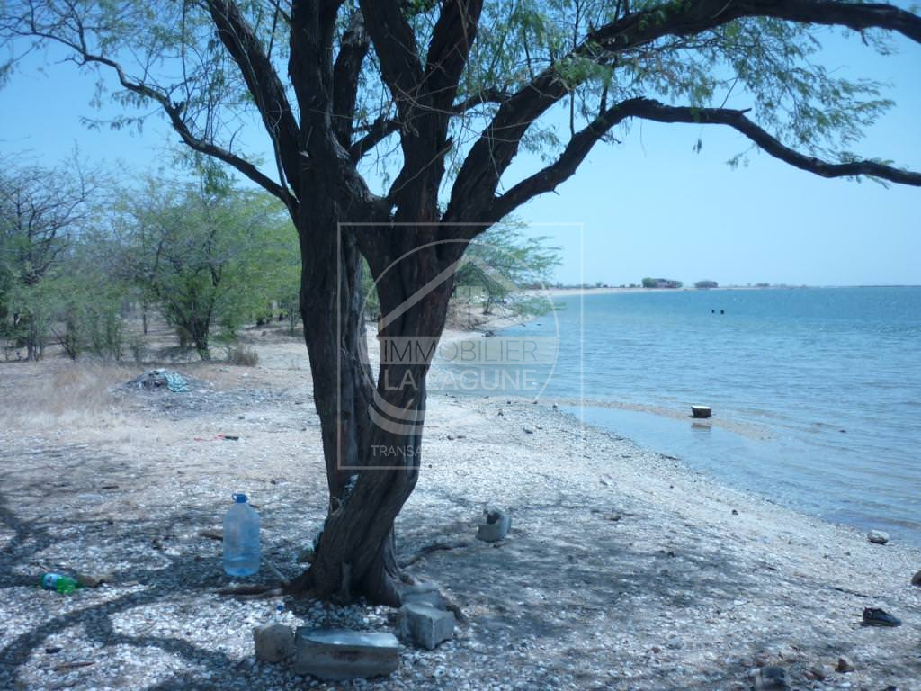 Agence Immobilière Saly Sénégal - T1946 - Terrain à FOUNDIOUGNE - v1946 beau terrain en bordure de mer à vendre à foundiougne senegal