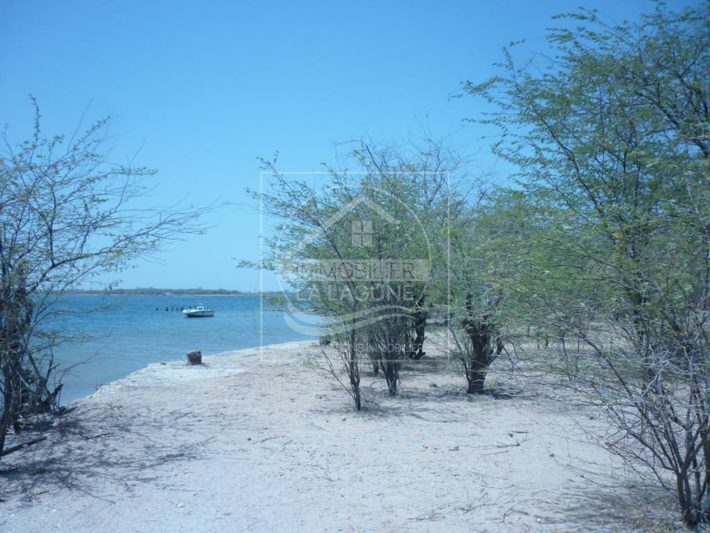 Agence Immobilière Saly Sénégal - T1946 - Terrain à FOUNDIOUGNE - v1946 beau terrain en bordure de mer à vendre à foundiougne senegal