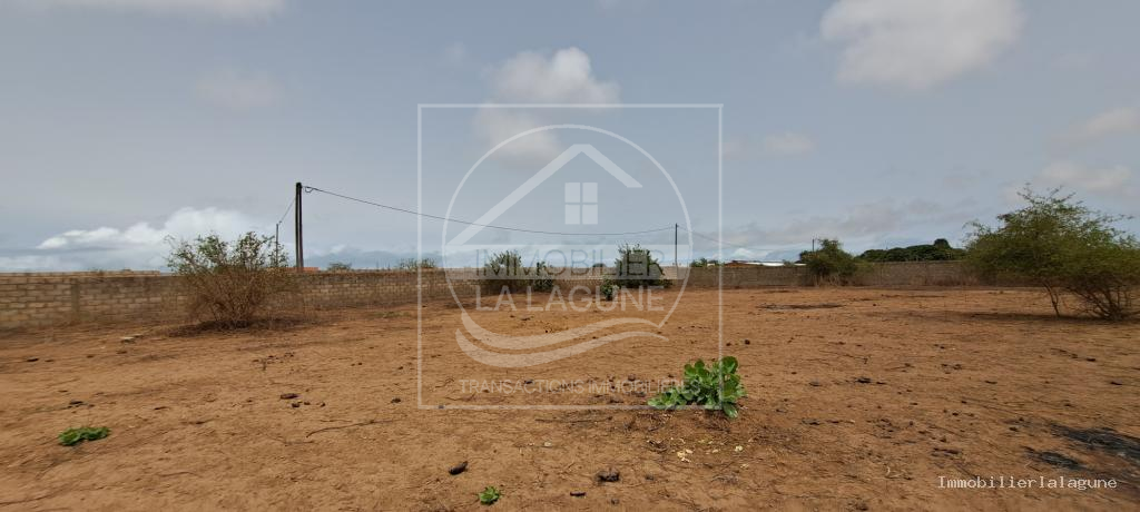 Agence Immobilière Saly Sénégal - T3189 - Terrain à SINTHIANE - T3189-terrain-a-vendre-a-sinthiane-senegal