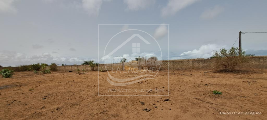 Agence Immobilière Saly Sénégal - T3189 - Terrain à SINTHIANE - T3189-terrain-a-vendre-a-sinthiane-senegal