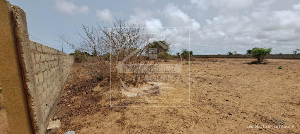 Agence Immobilière Saly Sénégal - T3189 - Terrain à SINTHIANE - T3189-terrain-a-vendre-a-sinthiane-senegal