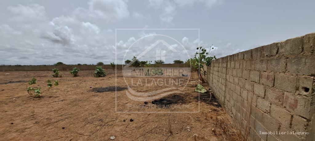 Agence Immobilière Saly Sénégal - T3189 - Terrain à SINTHIANE - T3189-terrain-a-vendre-a-sinthiane-senegal