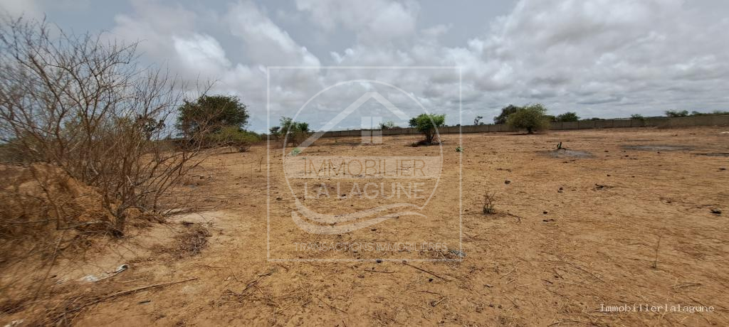 Agence Immobilière Saly Sénégal - T3189 - Terrain à SINTHIANE - T3189-terrain-a-vendre-a-sinthiane-senegal