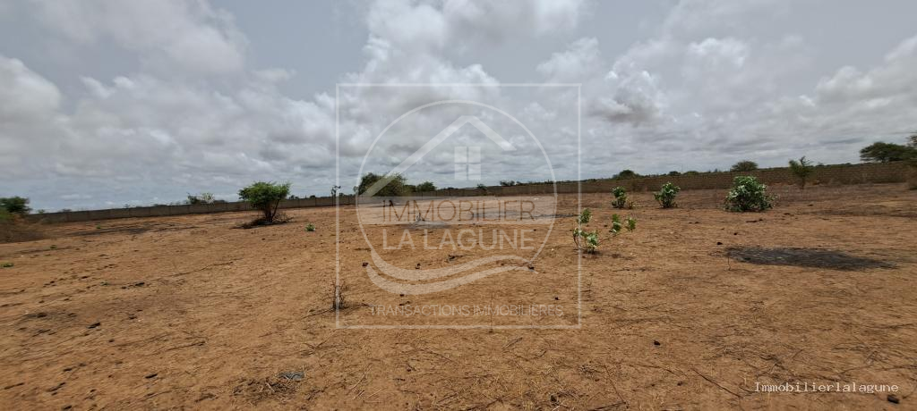 Agence Immobilière Saly Sénégal - T3189 - Terrain à SINTHIANE - T3189-terrain-a-vendre-a-sinthiane-senegal