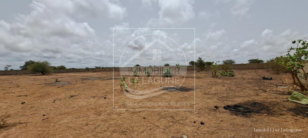 Agence Immobilière Saly Sénégal - T3189 - Terrain à SINTHIANE - T3189-terrain-a-vendre-a-sinthiane-senegal