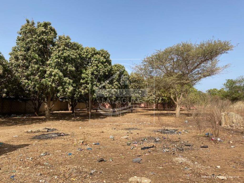 Agence Immobilière Saly Sénégal - T3195 - Terrain à NGAPAROU - T3195 terrain a vendre nguerigne senegal