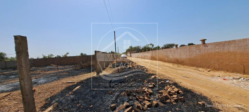 Agence Immobilière Saly Sénégal - T3199 - Terrain à NGUERIGNE - T3199 terrain a vendre nguerigne senegal