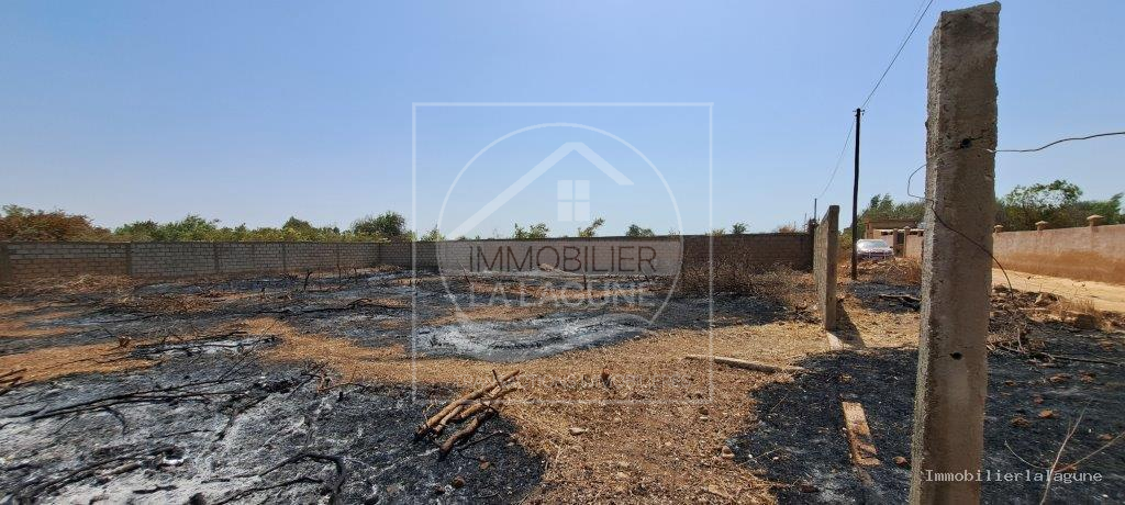 Agence Immobilière Saly Sénégal - T3199 - Terrain à NGUERIGNE - T3199 terrain a vendre nguerigne senegal