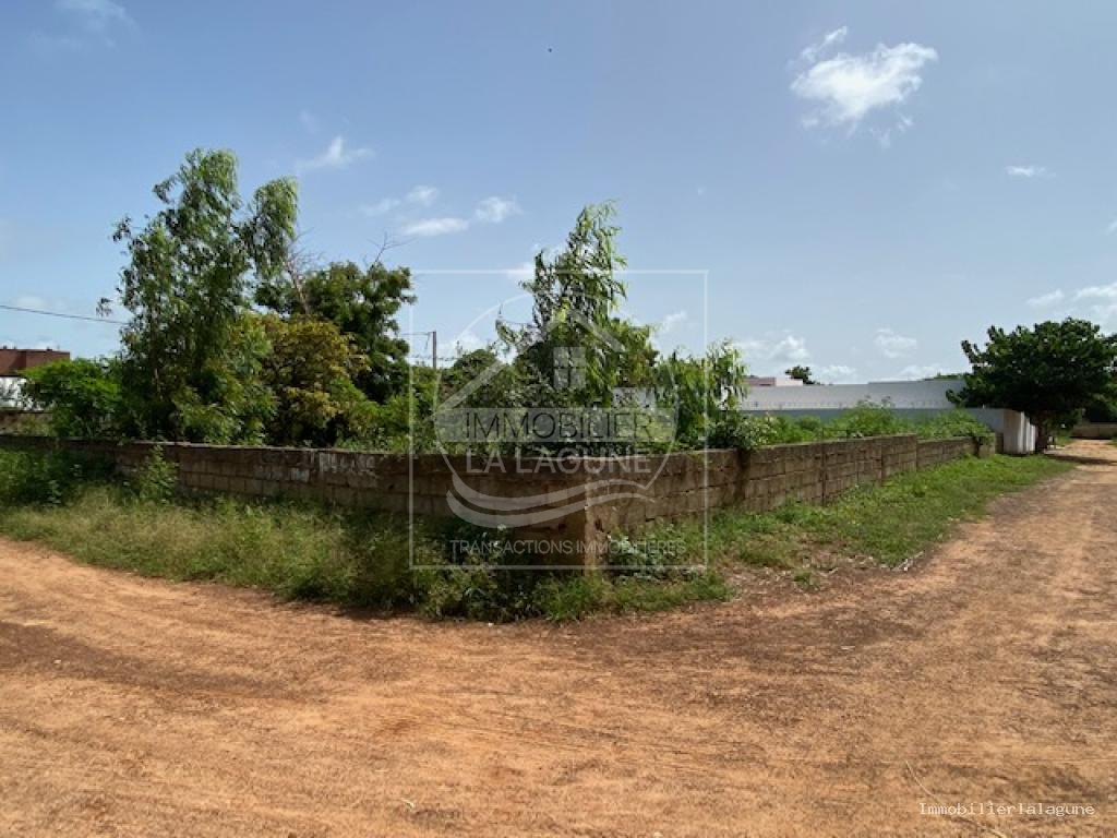 Agence Immobilière Saly Sénégal - T3200 - Terrain à NGAPAROU - T3200 terrain a vendre ngaparou senegal