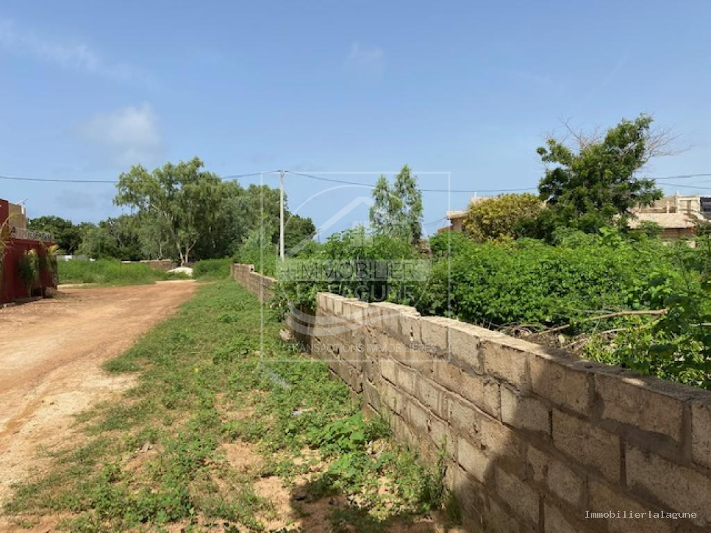 Agence Immobilière Saly Sénégal - T3200 - Terrain à NGAPAROU - T3200 terrain a vendre ngaparou senegal