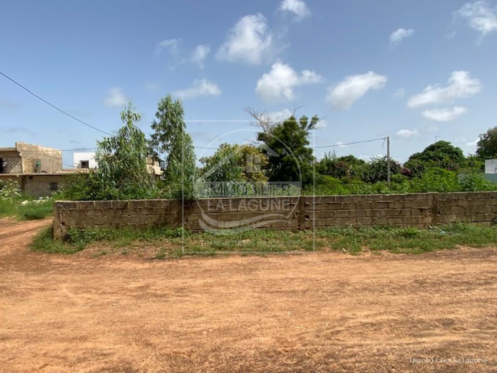 Agence Immobilière Saly Sénégal - T3200 - Terrain à NGAPAROU - T3200 terrain a vendre ngaparou senegal