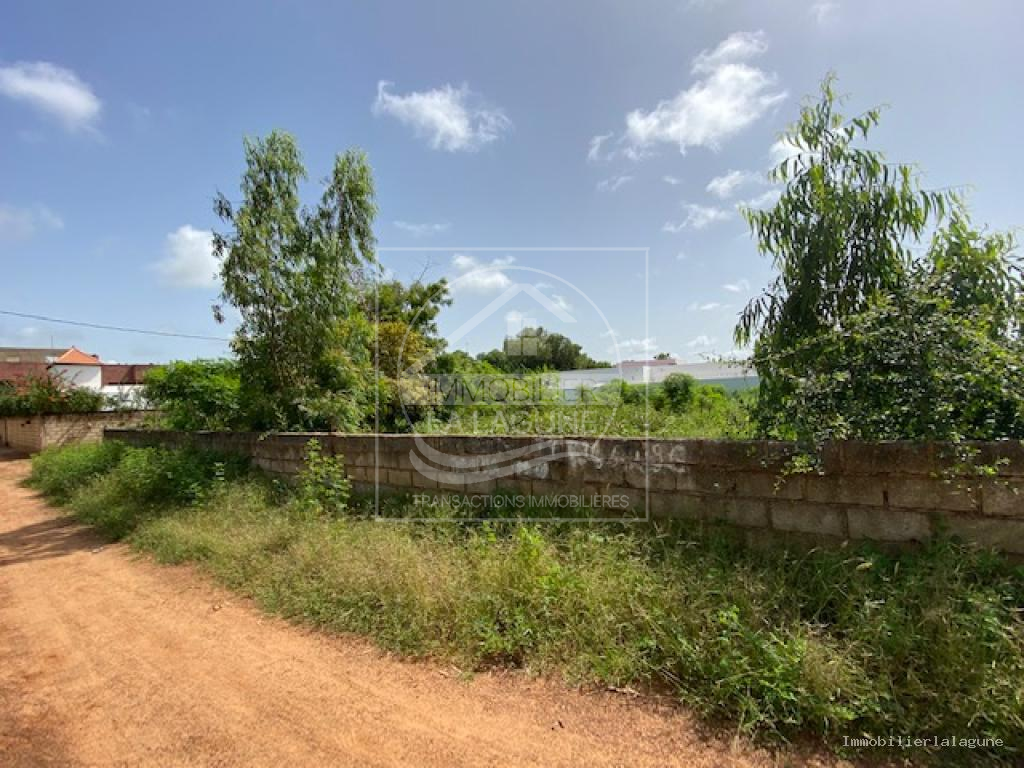 Agence Immobilière Saly Sénégal - T3200 - Terrain à NGAPAROU - T3200 terrain a vendre ngaparou senegal