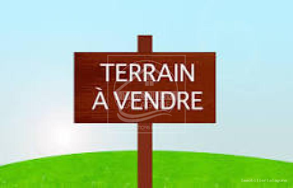 Agence Immobilière Saly Sénégal - T3204 - Terrain à NGUERIGNE - T3204 terrain a vendre a nguerigne senegal